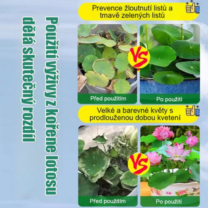 Speciální živný roztok pro lotos